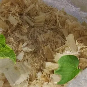 Лиственные опилки оптом в Сургуте от завода-производителя Лигнум Ресурс