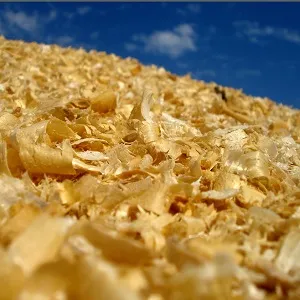 Опилки оптом в Сургуте купить - оперативная доставка по всей России