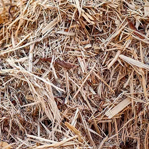 Щепа для арболита оптом в Сургуте и других различных марок заказать от 16 тонн