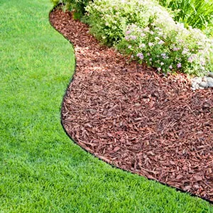 Сосновая щепа оптом в Сургуте и других различных марок заказать от 16 тонн